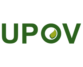 Питер Баттон, Өсімдіктердің жаңа сорттарын қорғау Халықаралық одағы (UPOV) Бас хатшысының орынбасары