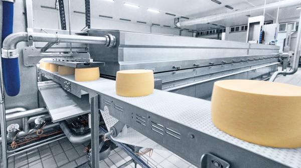 Construction of a cheese-based product and cheese production plant for HoReCa